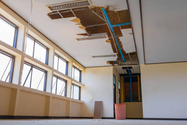 Best 24-hour water damage restoration  in Pine Lake Park, NJ