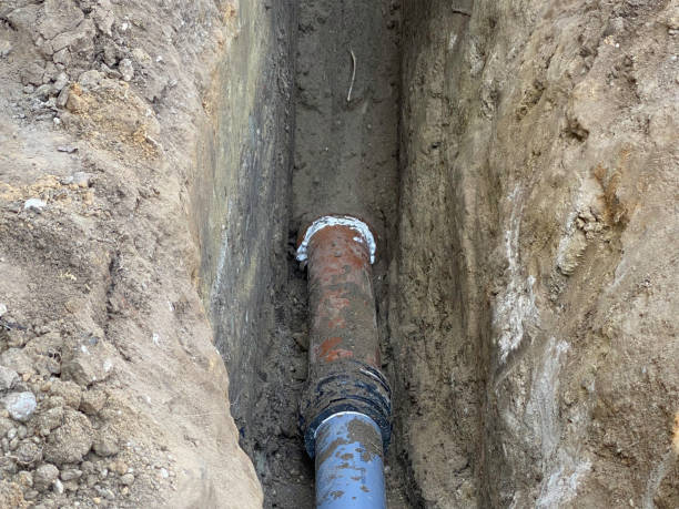 Best Professional water damage repair  in Pine Lake Park, NJ