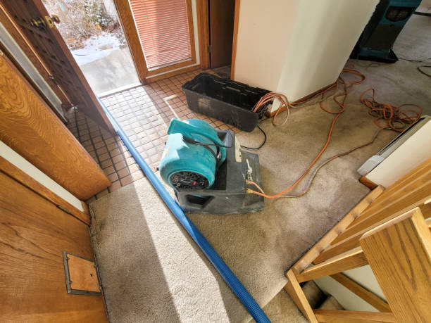 Best Water damage cleanup near me  in Pine Lake Park, NJ