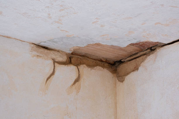 Best Water damage restoration specialists  in Pine Lake Park, NJ
