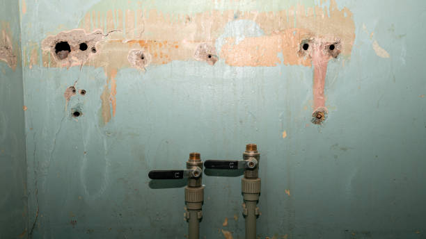 Best Flood restoration services  in Pine Lake Park, NJ