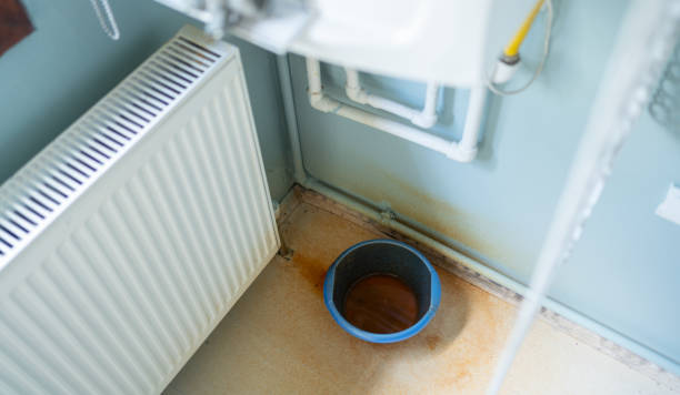 Best Mold removal after water damage  in Pine Lake Park, NJ