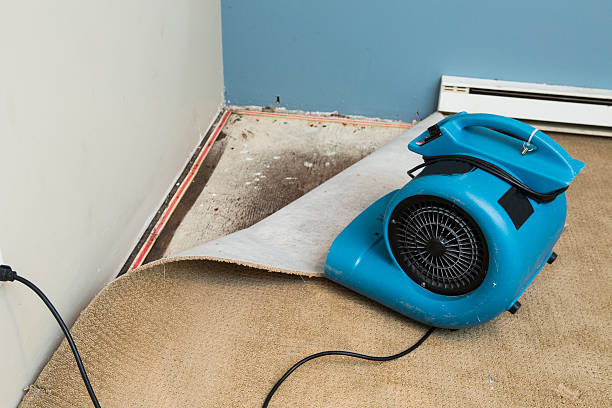 Best Local water damage restoration  in Pine Lake Park, NJ